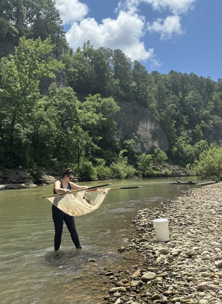 Arkansas field site with Taylor seining for darters